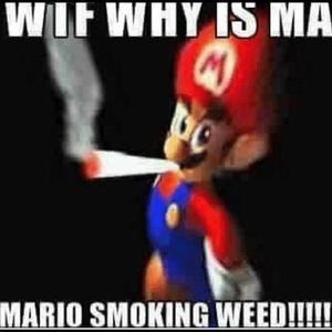 Meet your Posher, Isabelle